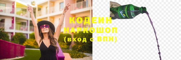 шишки Шали
