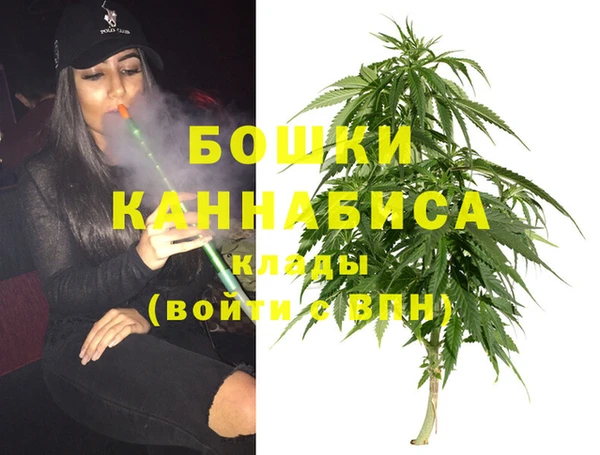 гидра Шадринск