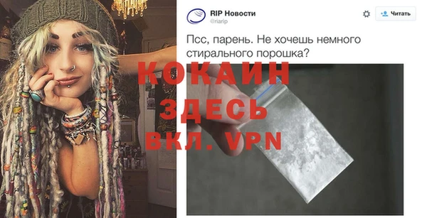 крисы Красноперекопск