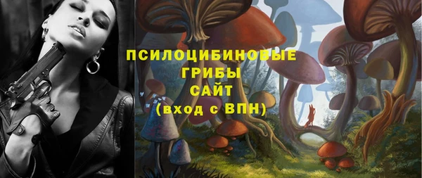 крисы Красноперекопск